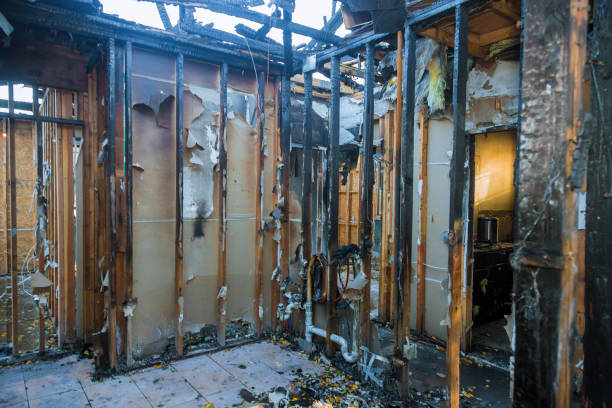 Professional Fire Damage Assessment technician working in South San Francisco, CA